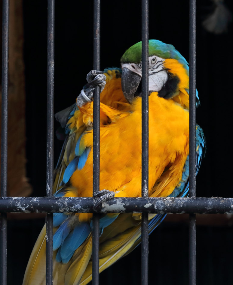 2019 09 10 HTP 51388e