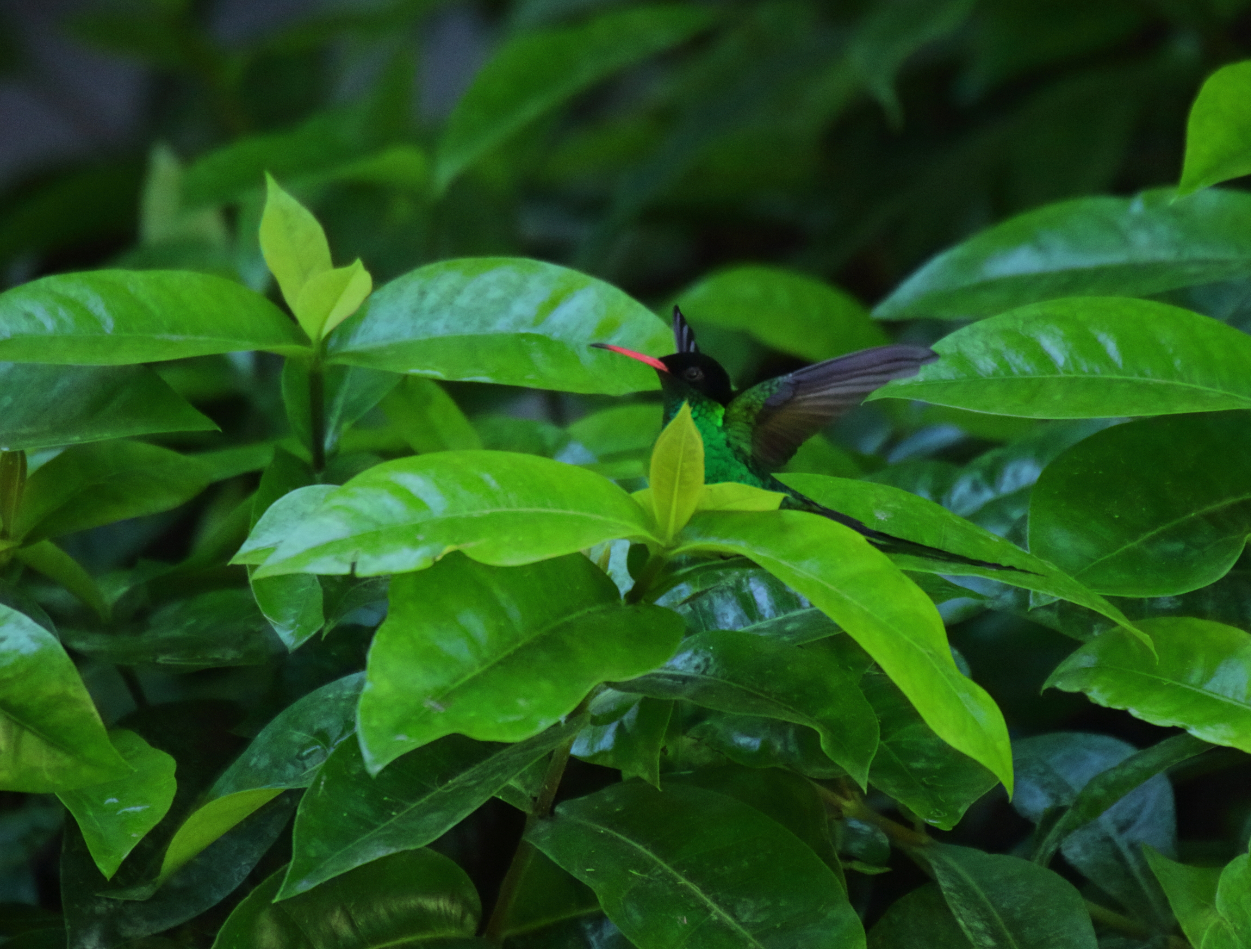 2019 09 12 HTP 90681e