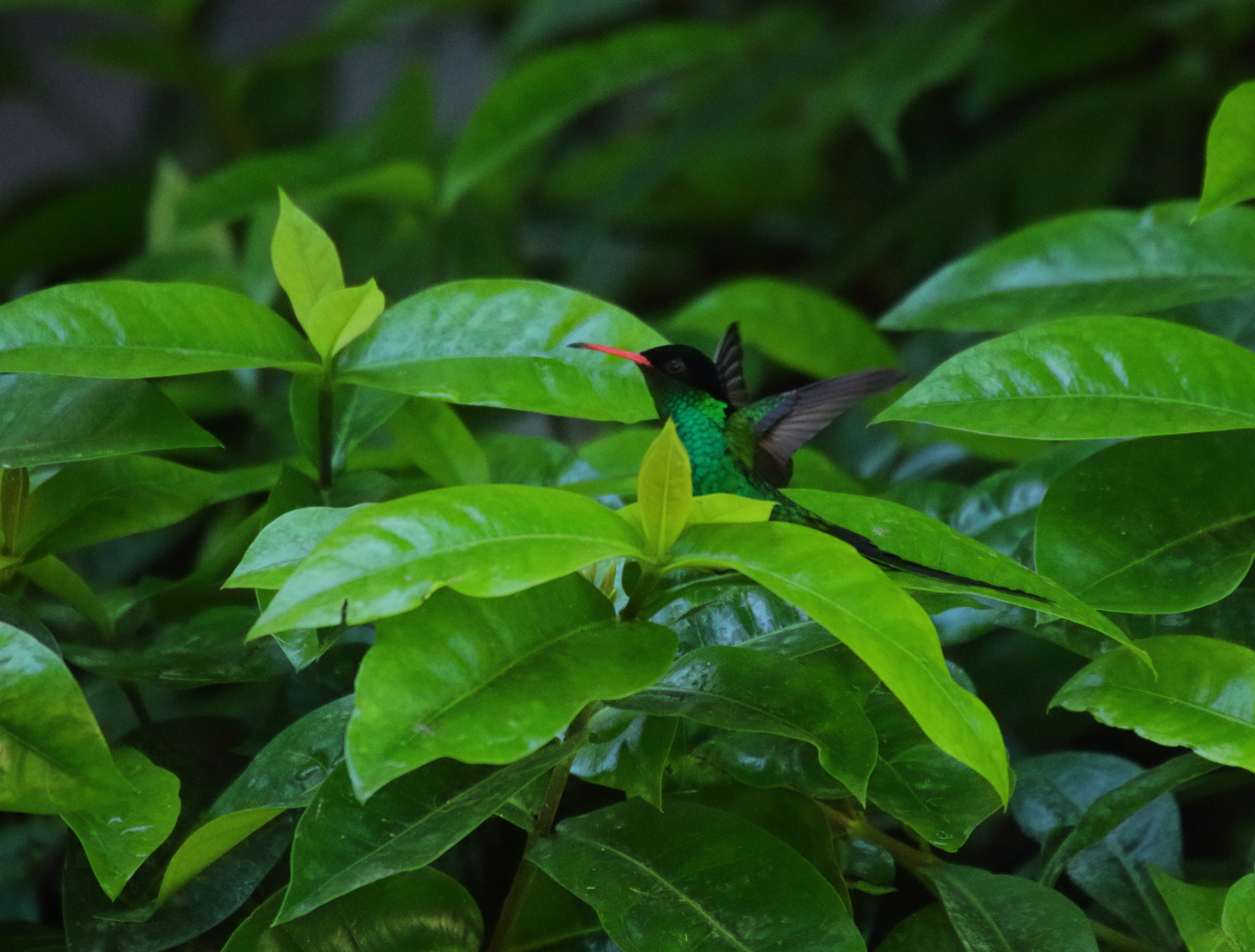 2019 09 12 HTP 90682e