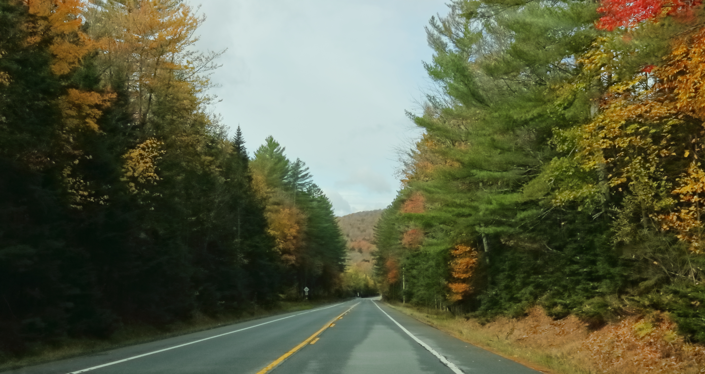 2024 10 09 HTP 50570e5