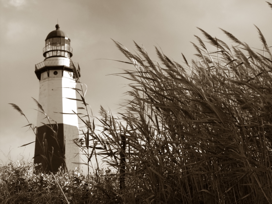 P9159187sepia