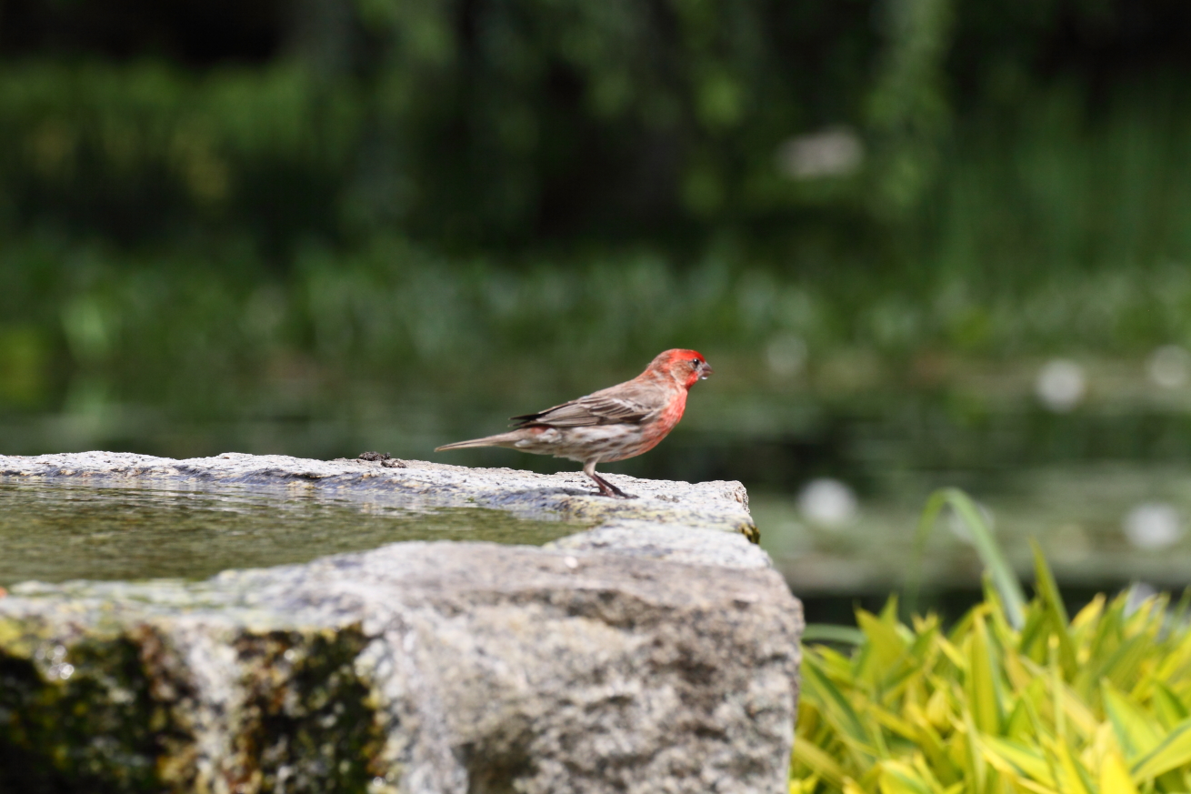 2015 06 13 HTP 000065201