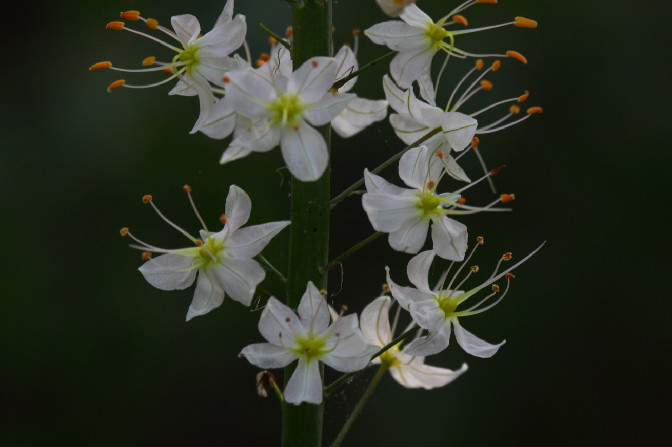 2015 06 13 HTP 000065555