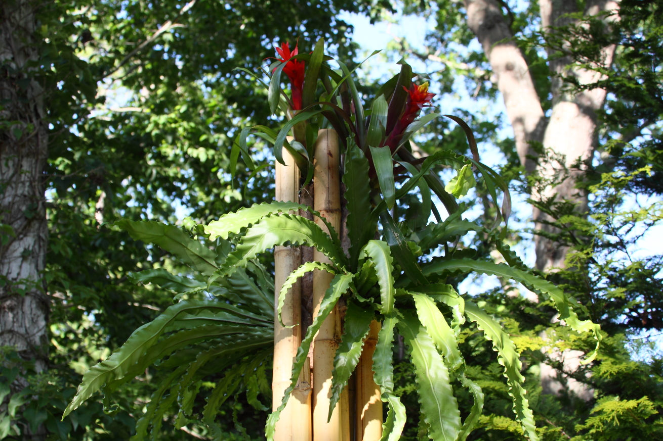 2015 06 13 HTP 000065959