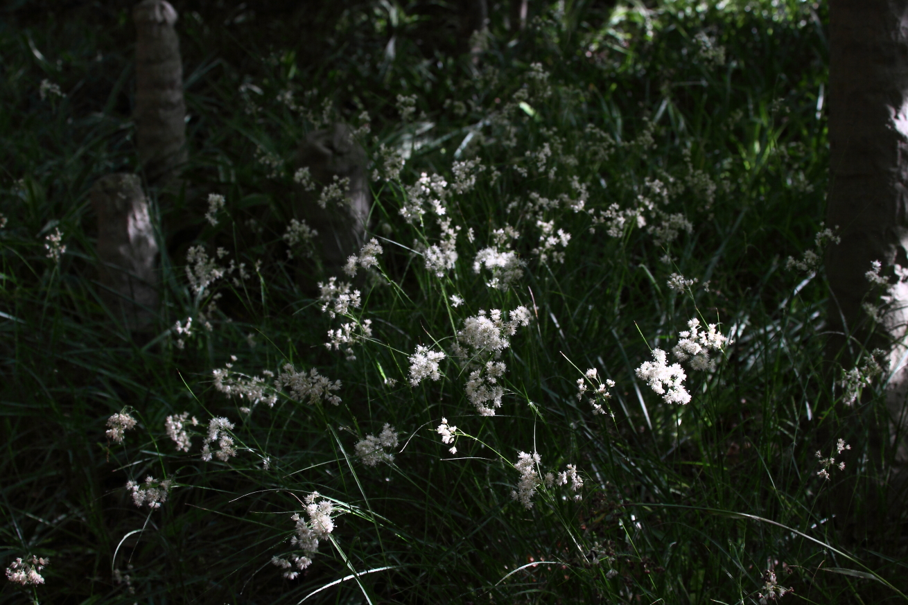 2015 06 13 HTP 000066083e