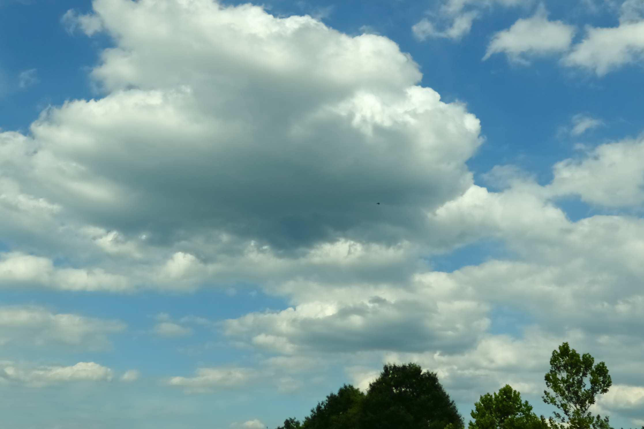 2024 06 28 HTP 53407e