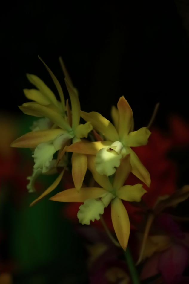 2012 04 08 HTP 90007