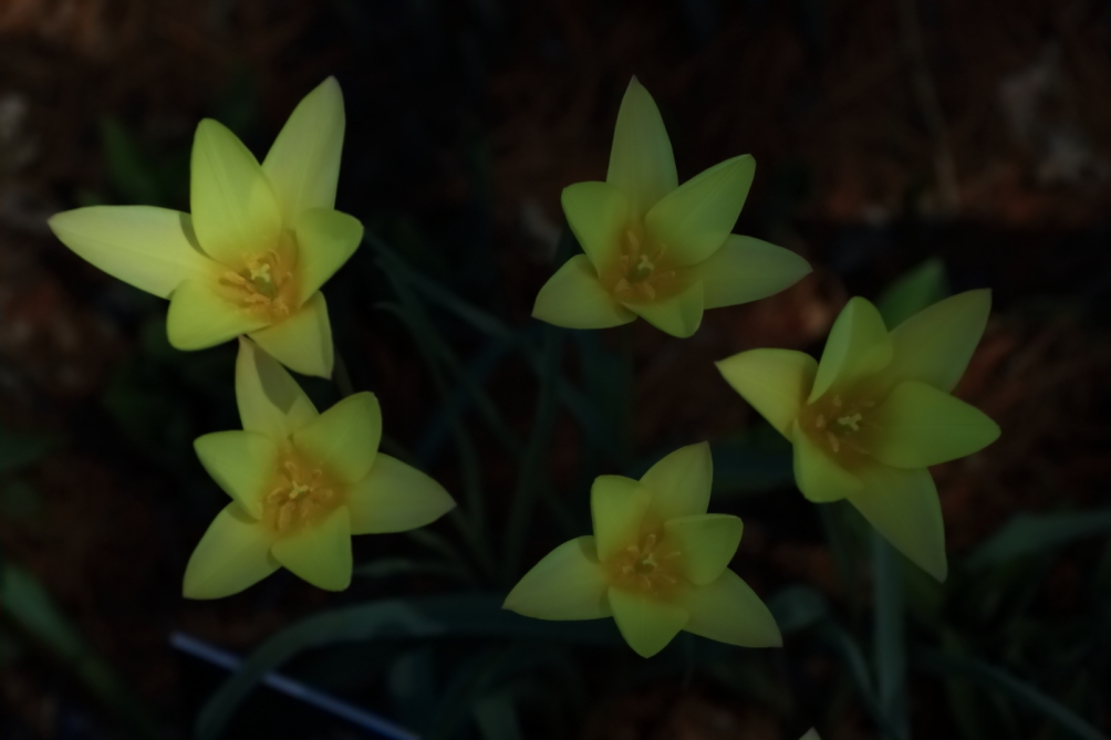2012 04 08 HTP 90008