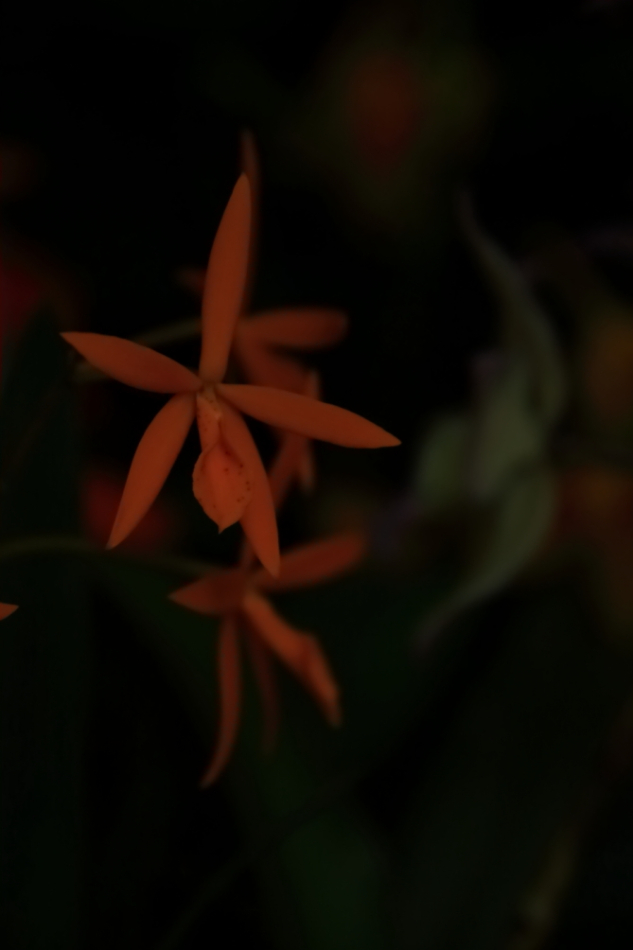2012 04 08 HTP 90009