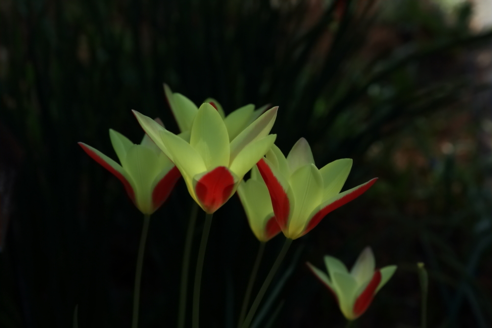 2012 04 08 HTP 90010