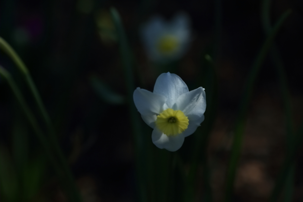 2012 04 08 HTP 90017