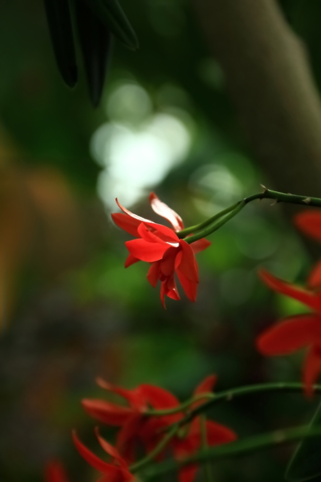 2012 04 08 HTP 90018