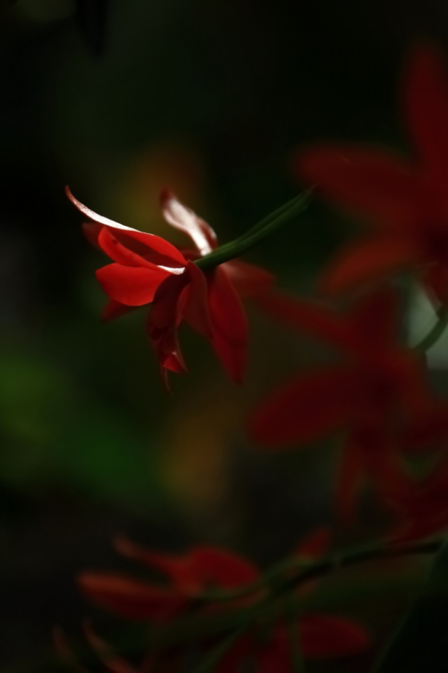 2012 04 08 HTP 90019
