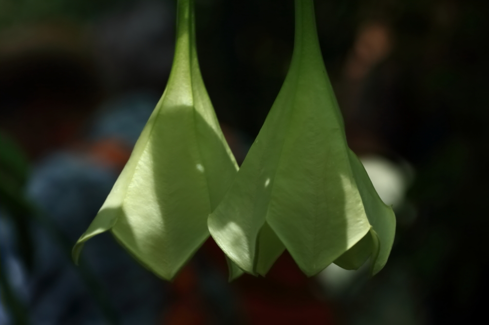 2012 04 08 HTP 90023