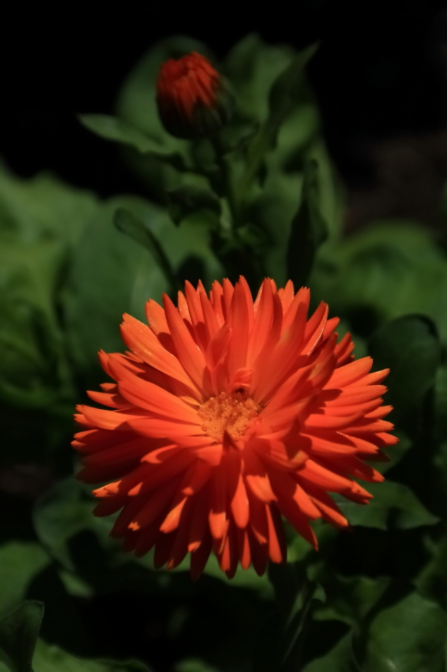 2012 04 08 HTP 90025
