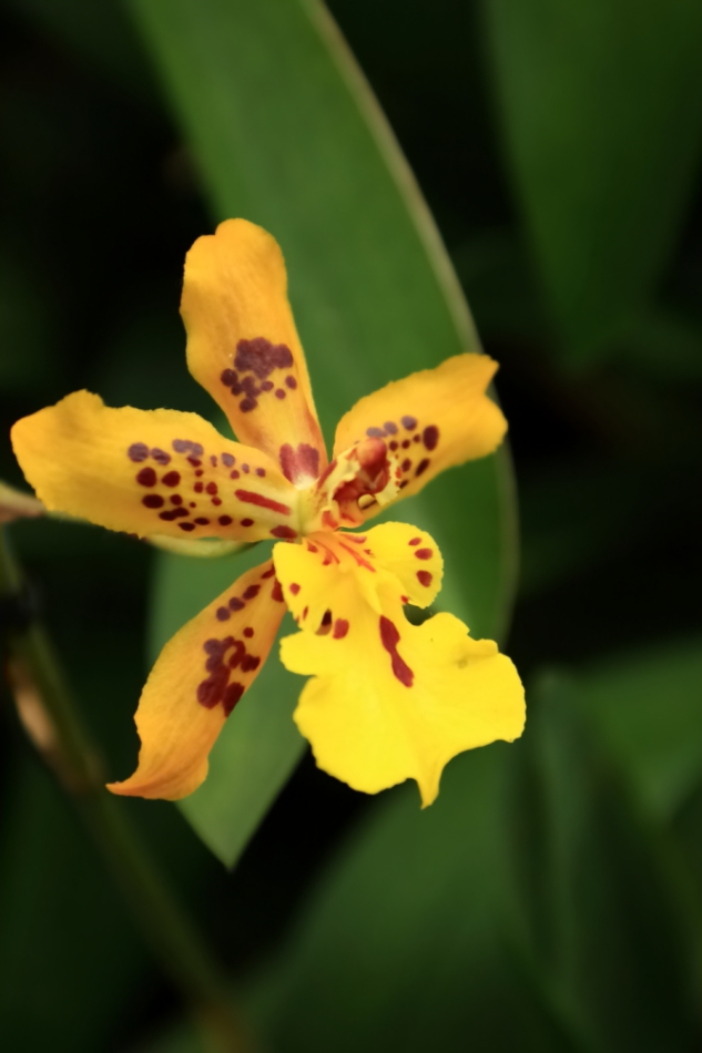 2012 04 08 HTP 90026