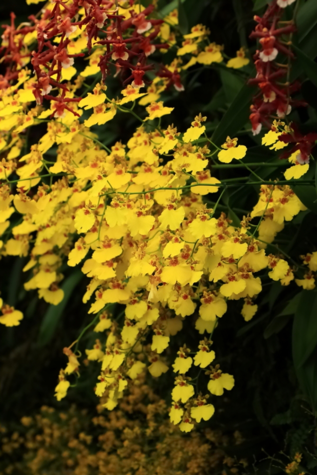 2012 04 08 HTP 90029