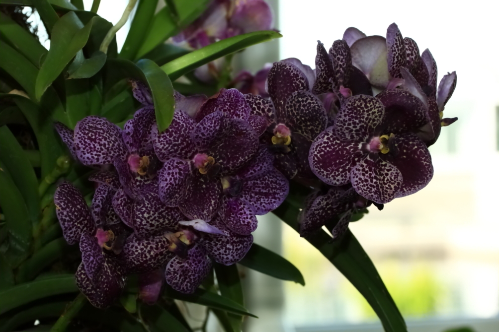 2012 04 08 HTP 90032