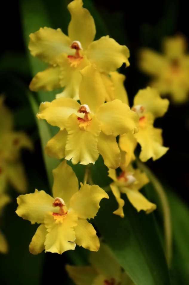 2012 04 08 HTP 90039