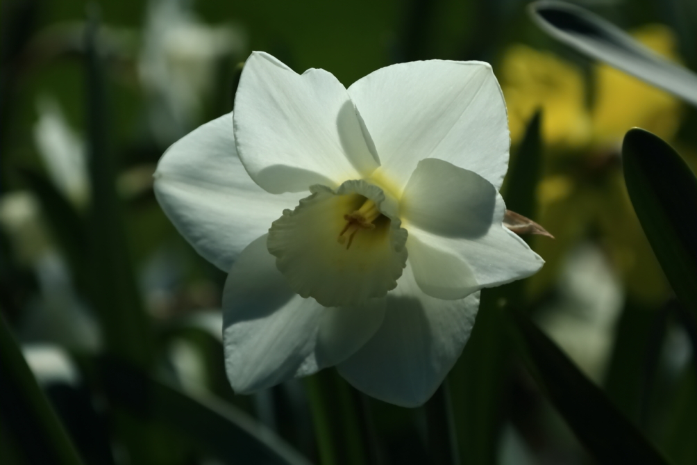 2012 04 08 HTP 90041