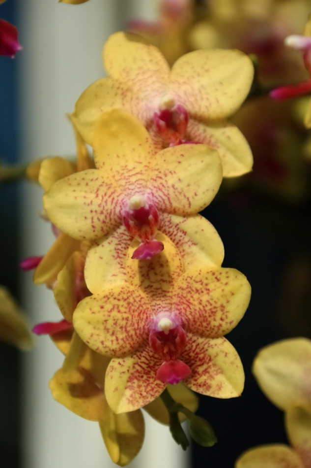 2012 04 08 HTP 90042