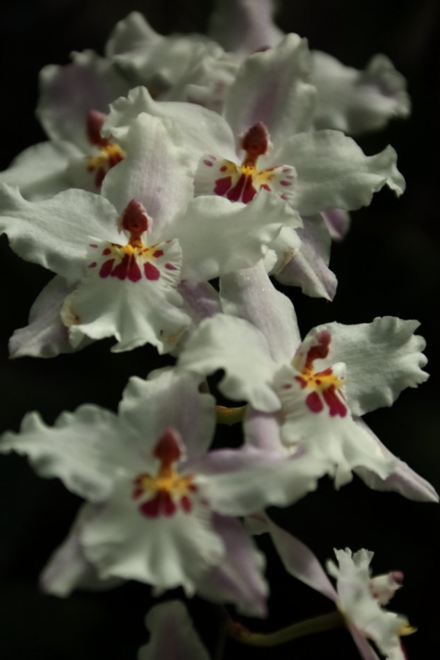 2012 04 08 HTP 90043