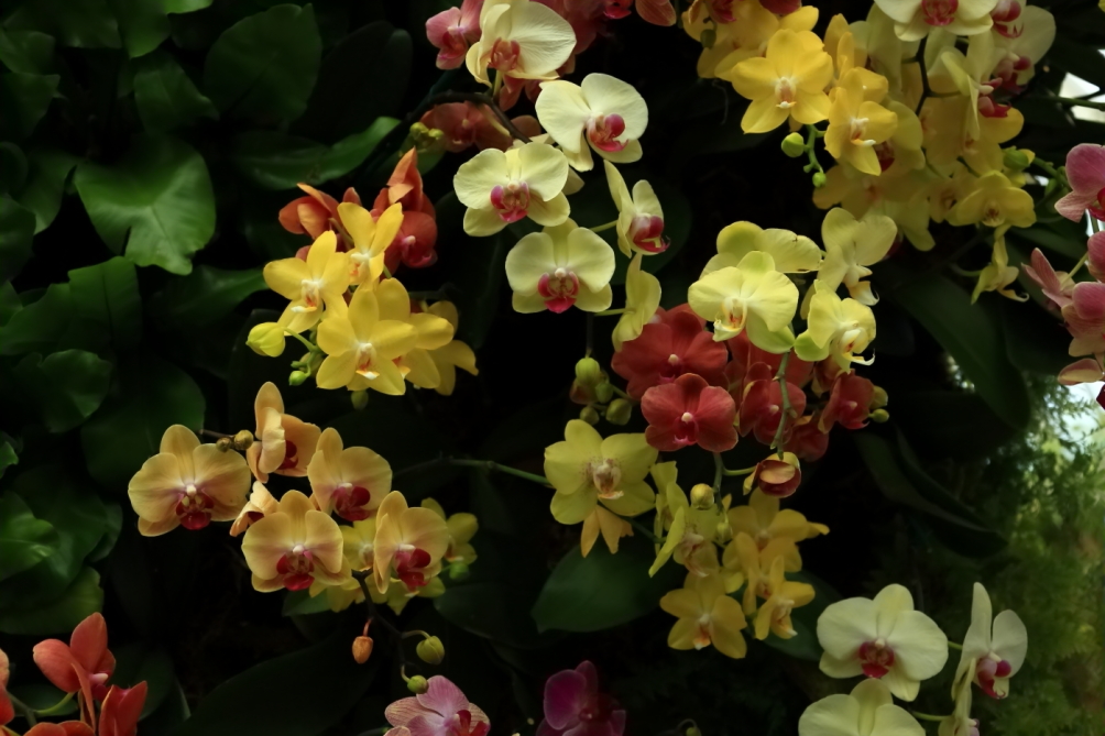 2012 04 08 HTP 90045