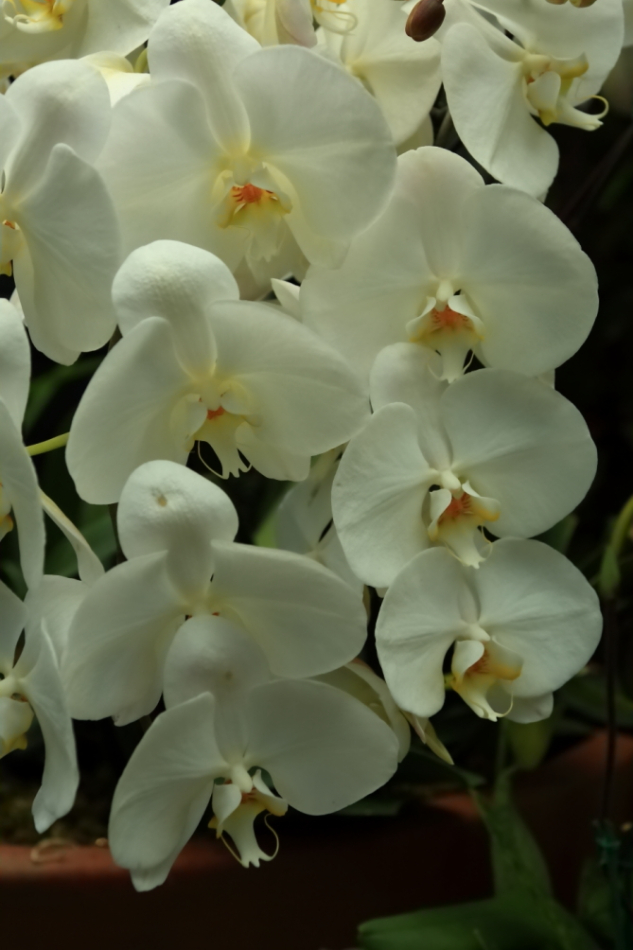 2012 04 08 HTP 90046