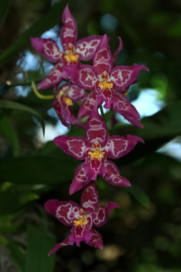 2012 04 08 HTP 90047