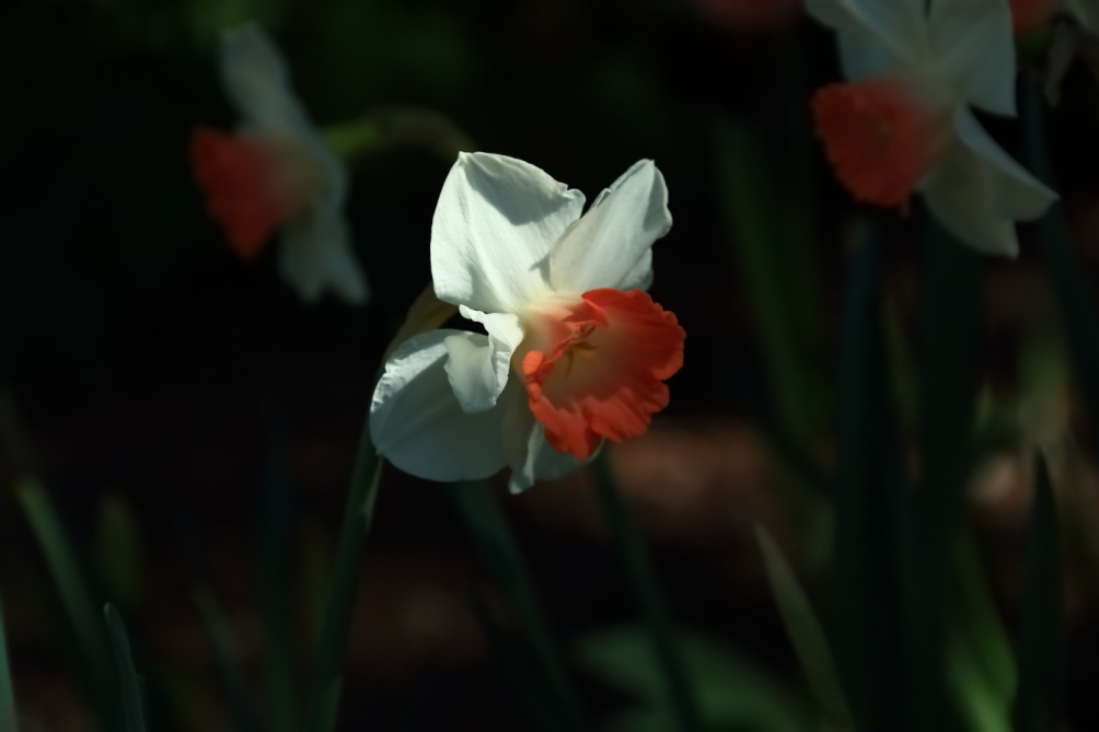 2012 04 08 HTP 90049