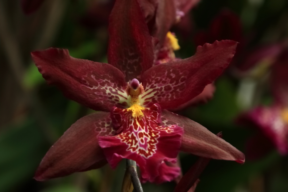 2012 04 08 HTP 90050