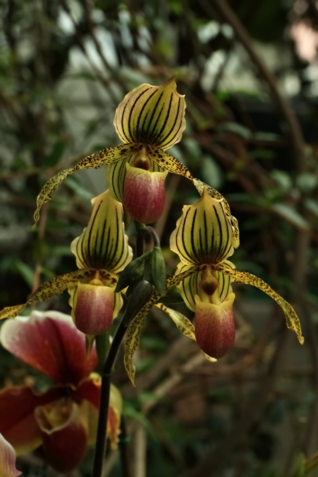 2012 04 08 HTP 90051