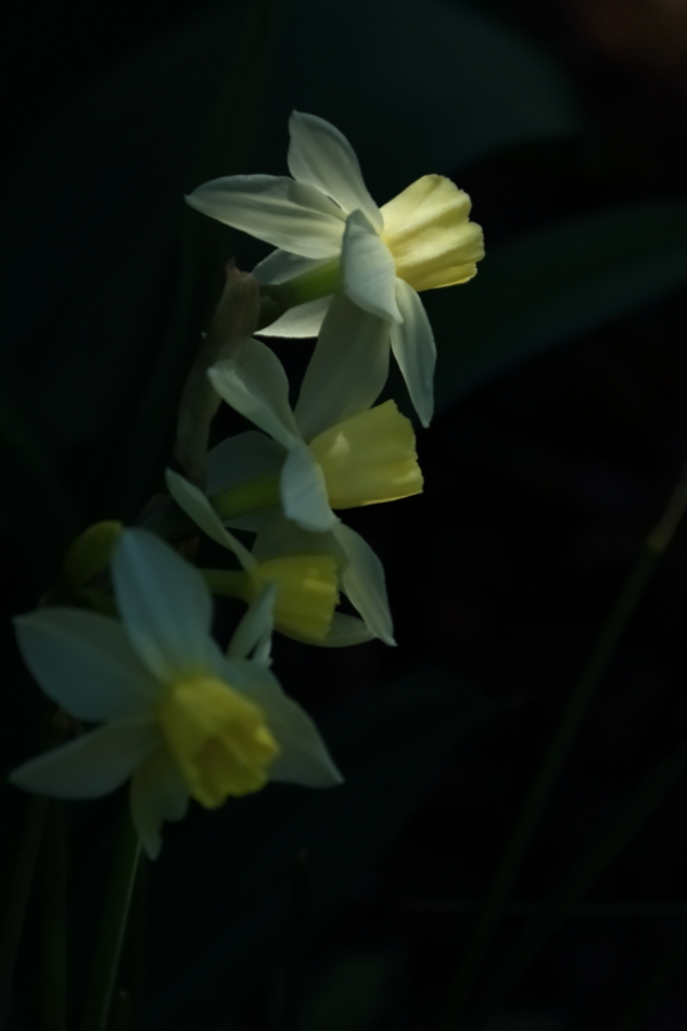 2012 04 08 HTP 90053