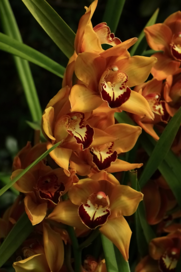 2012 04 08 HTP 90055