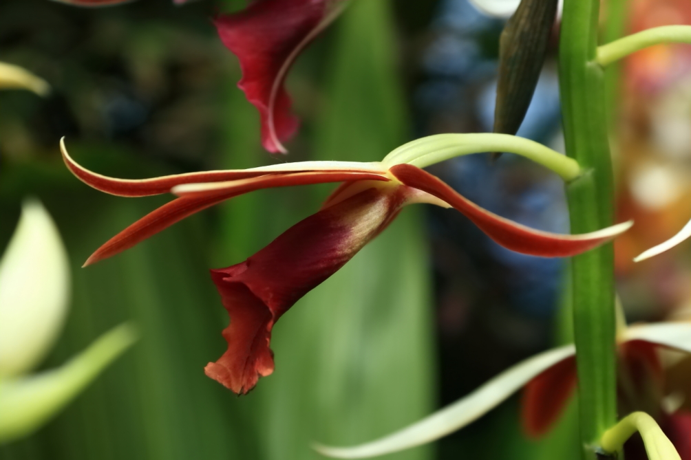 2012 04 08 HTP 90063