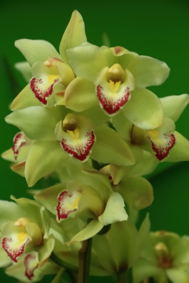 2012 04 08 HTP 90064