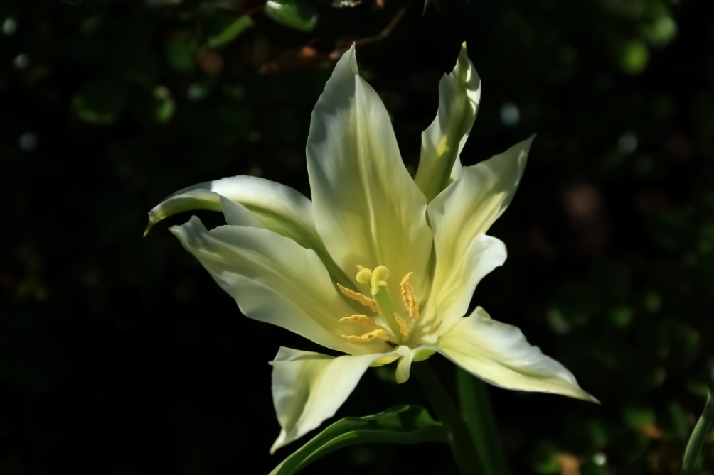 2012 04 08 HTP 90066