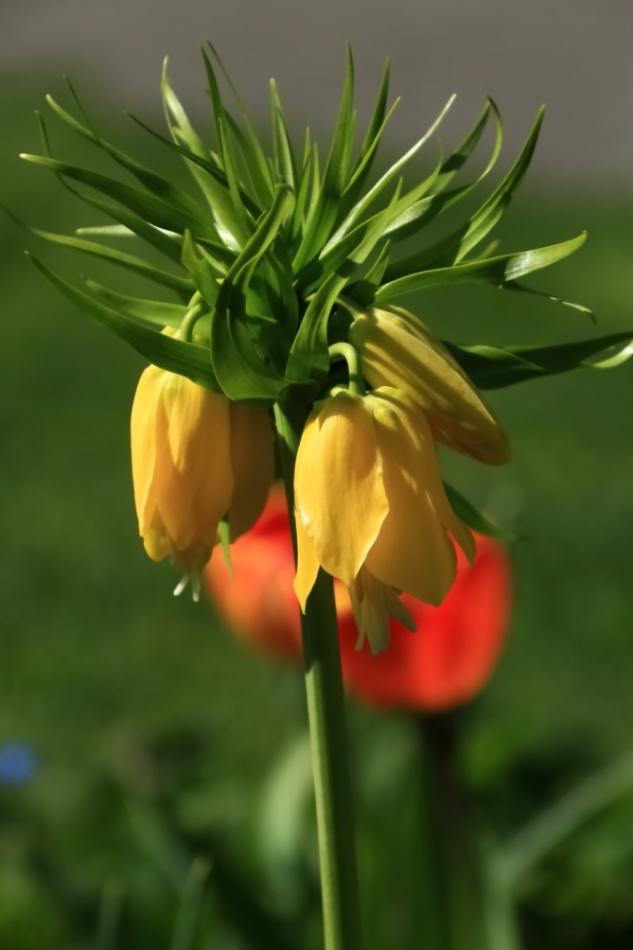 2012 04 08 HTP 90071