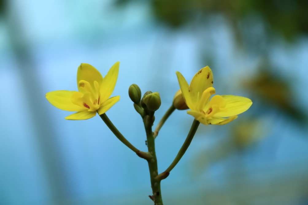2012 04 08 HTP 90072