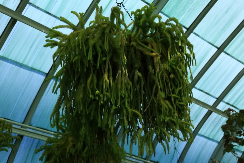 2012 04 08 HTP 90073
