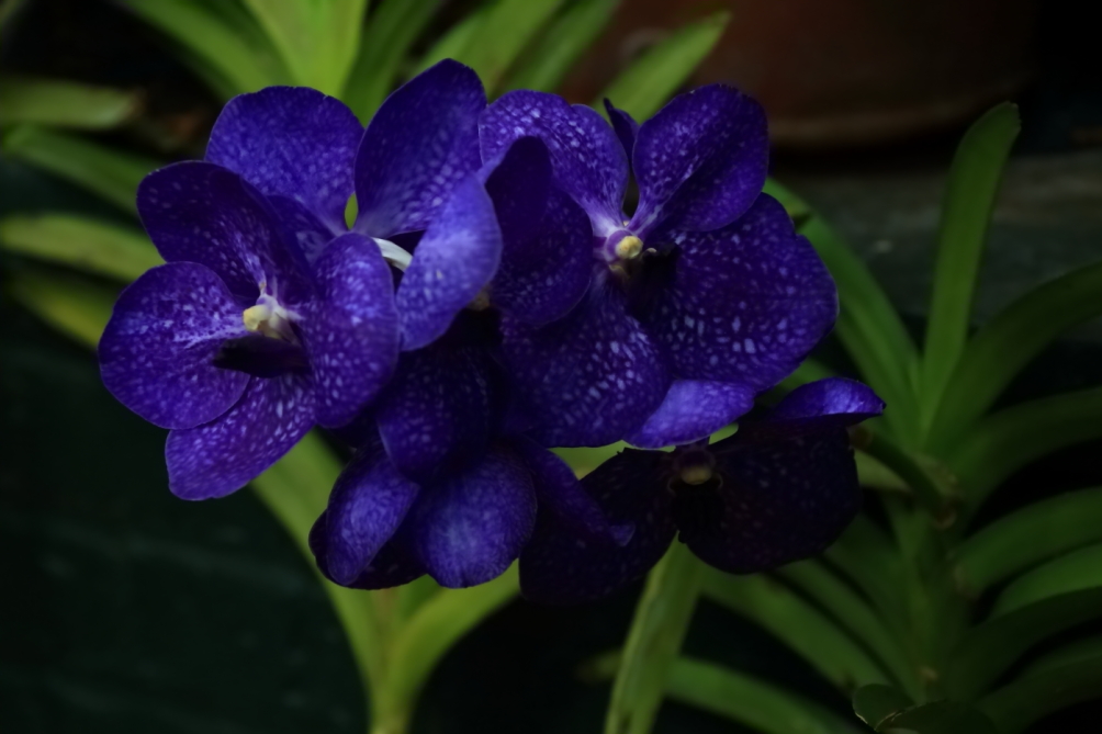 2012 04 08 HTP 90075