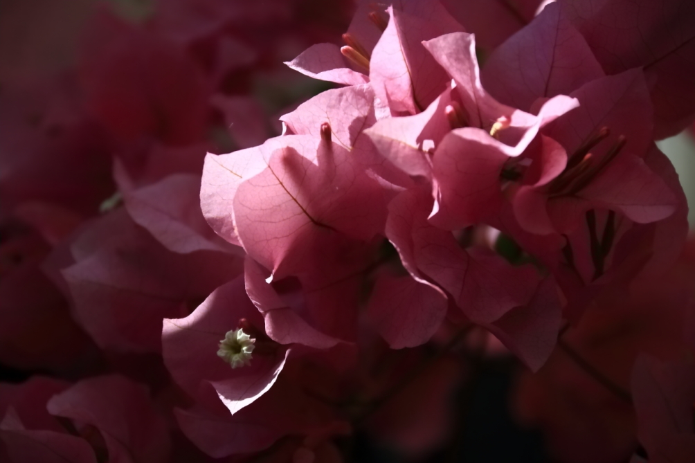 2012 04 08 HTP 90077