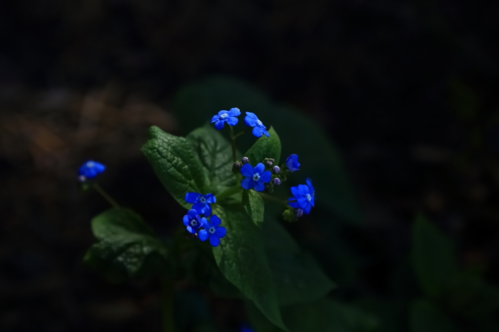 2012 04 08 HTP 90078