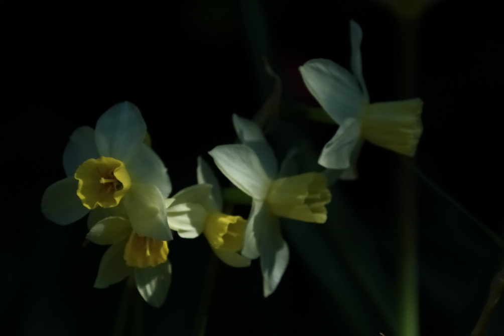 2012 04 08 HTP 90081