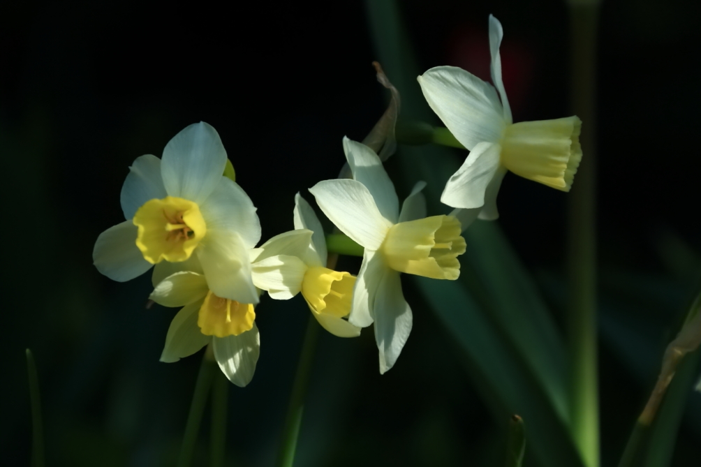 2012 04 08 HTP 90082
