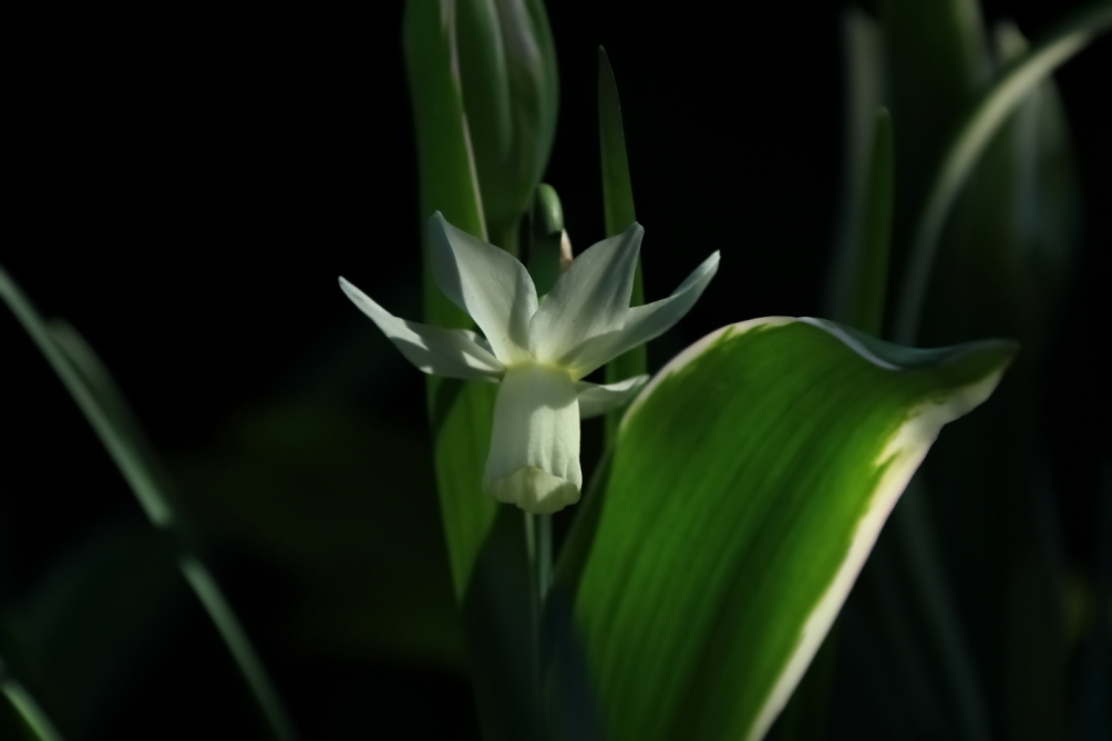 2012 04 08 HTP 90083