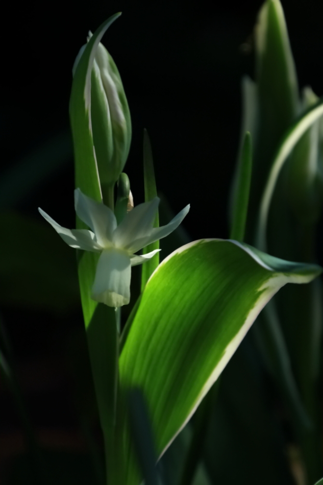 2012 04 08 HTP 90085