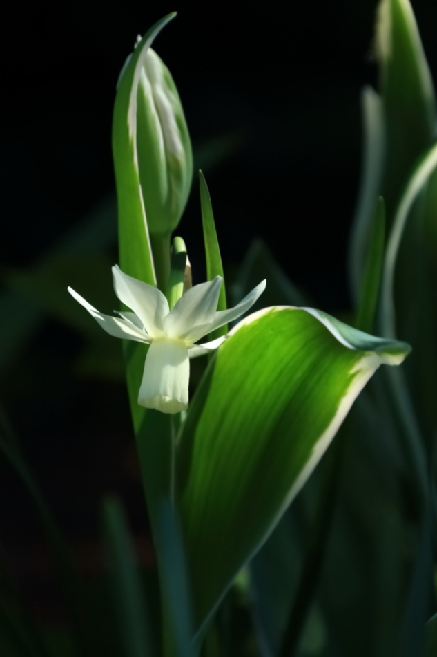 2012 04 08 HTP 90086