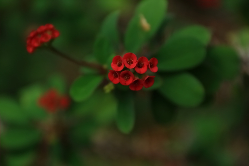 2012 04 08 HTP 90088