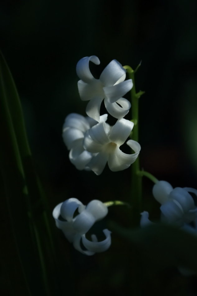 2012 04 08 HTP 90090
